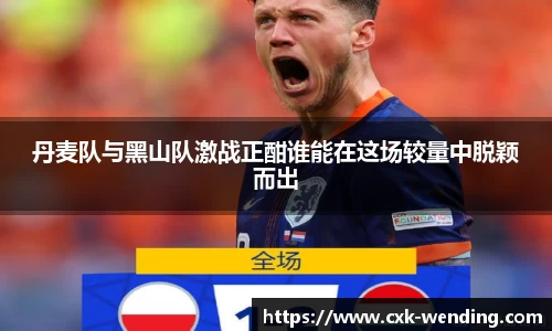 丹麦队与黑山队激战正酣谁能在这场较量中脱颖而出